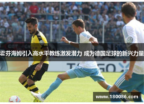 霍芬海姆引入高水平教练激发潜力 成为德国足球的新兴力量