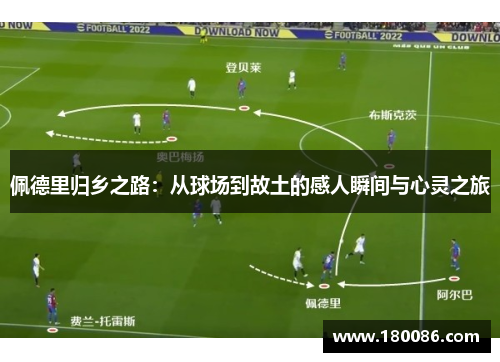 佩德里归乡之路：从球场到故土的感人瞬间与心灵之旅