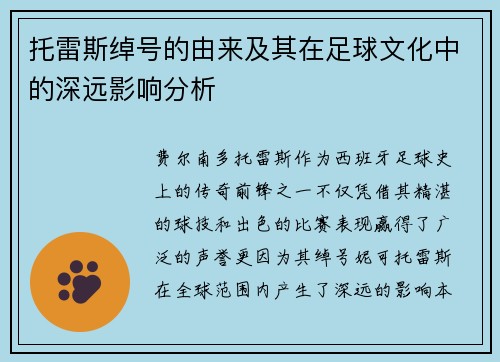 托雷斯绰号的由来及其在足球文化中的深远影响分析 托雷斯绰号的由来及其在足球文化中的深远影响分析