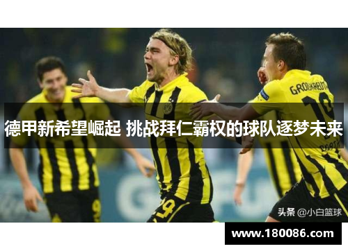 德甲新希望崛起 挑战拜仁霸权的球队逐梦未来